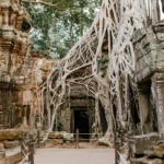 Planifica tu viaje a Camboya